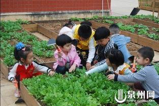 剑桥幼儿园吃瓜,孩子们的快乐时光