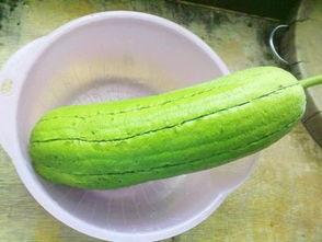 盐城水瓜怎么吃,解锁夏日清新美味