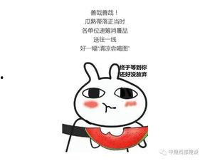 前方有瓜吃,揭秘那些令人垂涎的瓜界秘密