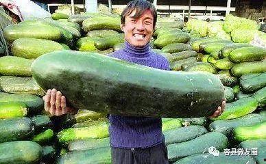 吃瓜50天,娱乐圈幕后真相大曝光