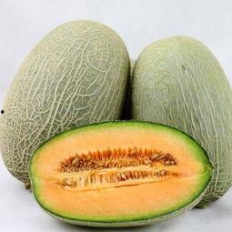 夏天吃哈密瓜好,哈密瓜的清凉诱惑