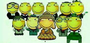 不许吃瓜怎么画,揭秘“不吃瓜”背后的社会现象与思考